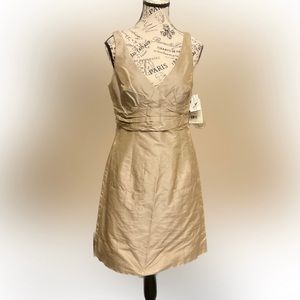 Champagne Colored Silk Dress